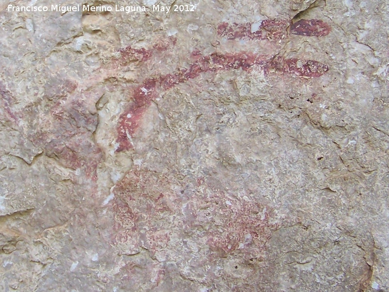 Pinturas rupestres de la Cañada de la Corcuela - Pinturas rupestres de la Cañada de la Corcuela. Cabra mayor
