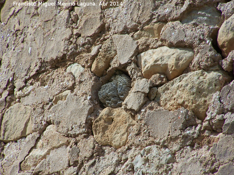 Mechinal - Mechinal. Torre de la Cabeza - Pegalajar