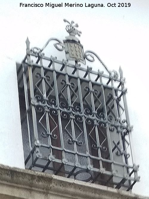 Casa de los Acuña - Casa de los Acuña. Reja de la portada lateral