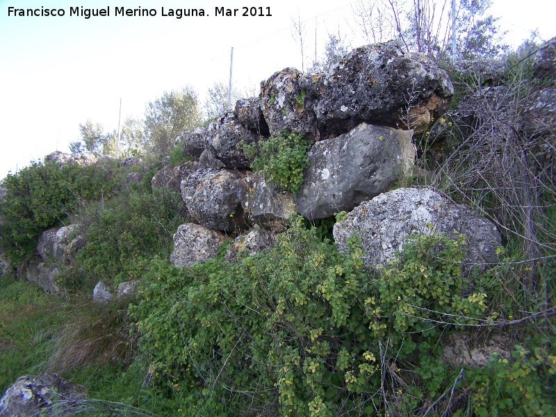 Oppidum de Torrevieja - Oppidum de Torrevieja. Muralla ciclópea oeste