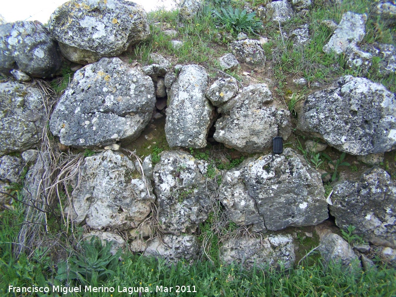 Oppidum de Torrevieja - Oppidum de Torrevieja. Muralla ciclópea oeste