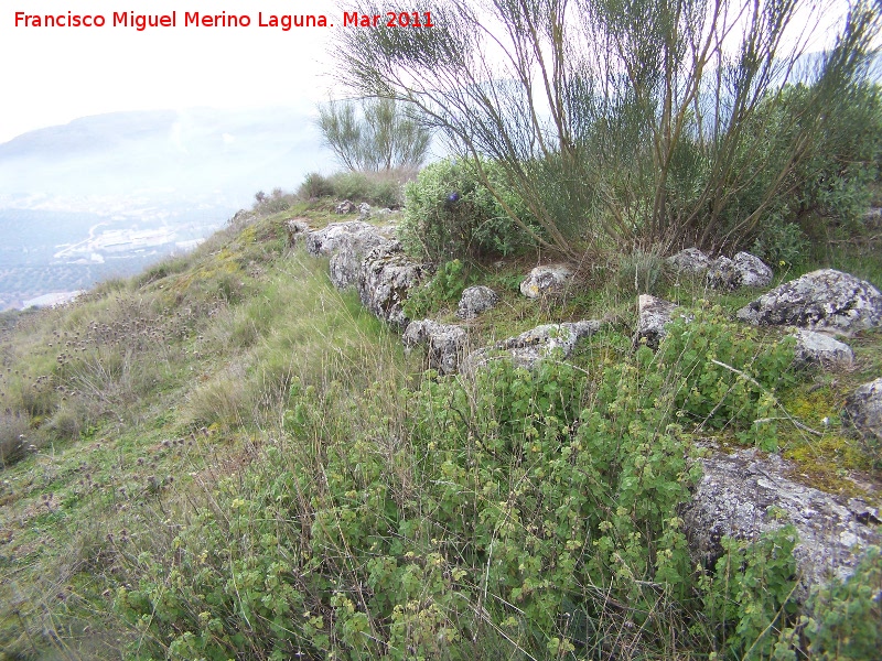 Oppidum del Cerro Algarrobo - Oppidum del Cerro Algarrobo. Muralla ciclópea