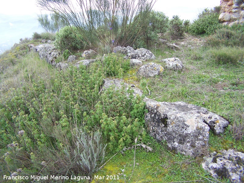 Oppidum del Cerro Algarrobo - Oppidum del Cerro Algarrobo. Muralla ciclópea