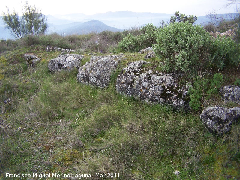 Oppidum del Cerro Algarrobo - Oppidum del Cerro Algarrobo. Muralla ciclópea