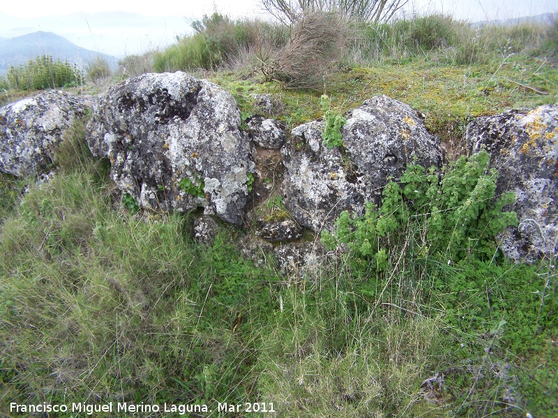 Oppidum del Cerro Algarrobo - Oppidum del Cerro Algarrobo. Muralla ciclópea