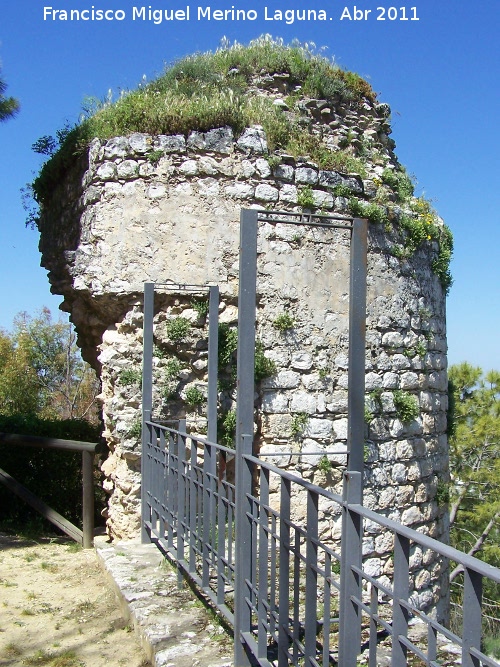 Muralla. Torreón III - Muralla. Torreón III. 