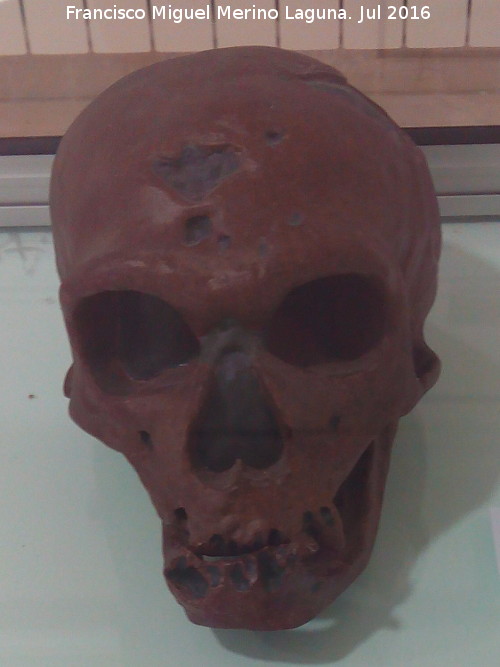 Homo neanderthalensis - Homo neanderthalensis. Cueva de la Carihuela - Píñar. Museo de Píñar