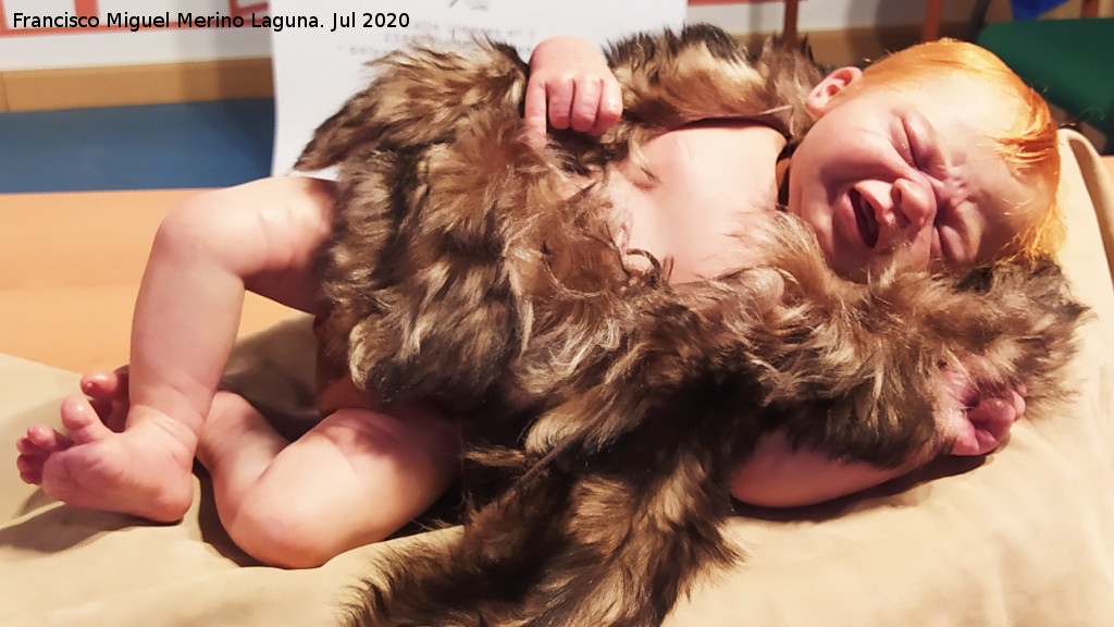 Homo neanderthalensis - Homo neanderthalensis. Beb� neandertal. Paleom�gina - Bedmar