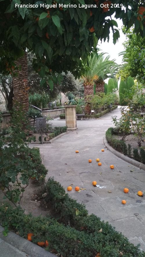 Palacio de Jabalquinto - Palacio de Jabalquinto. Jardines
