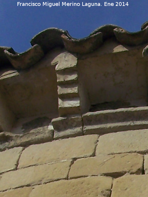 Iglesia románica de San Pedro - Iglesia románica de San Pedro. Canecillo