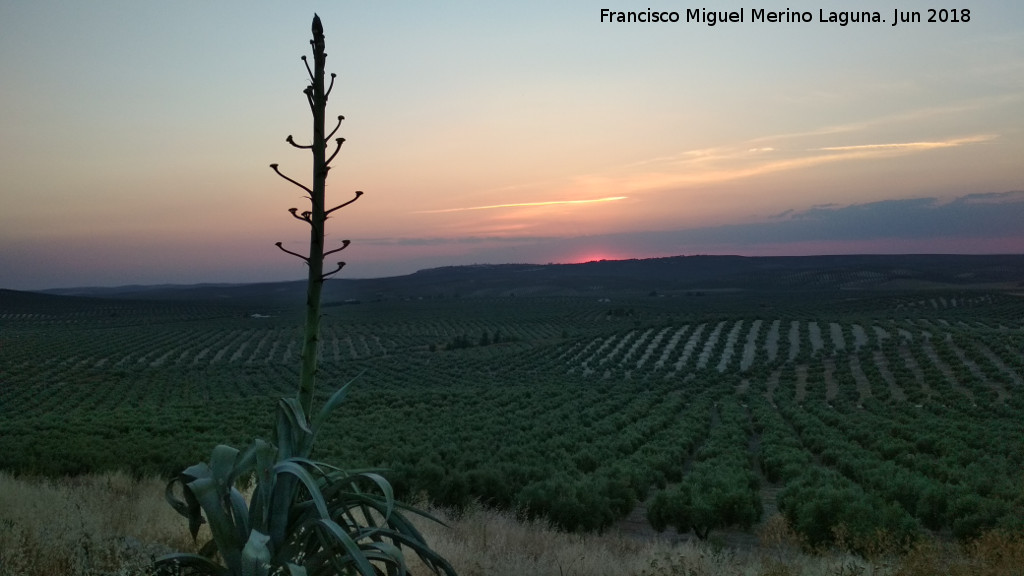 Ocaso - Ocaso. Aldea Torreálcázar - Torredonjimeno