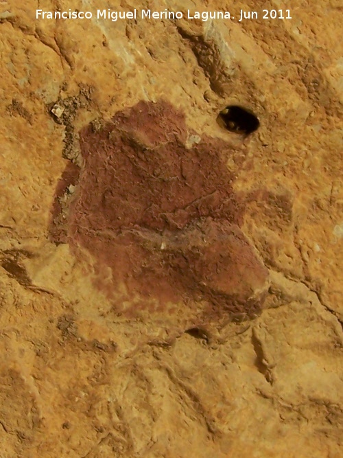 Pinturas rupestres de la Peña del Gorrión VI - Pinturas rupestres de la Peña del Gorrión VI. 