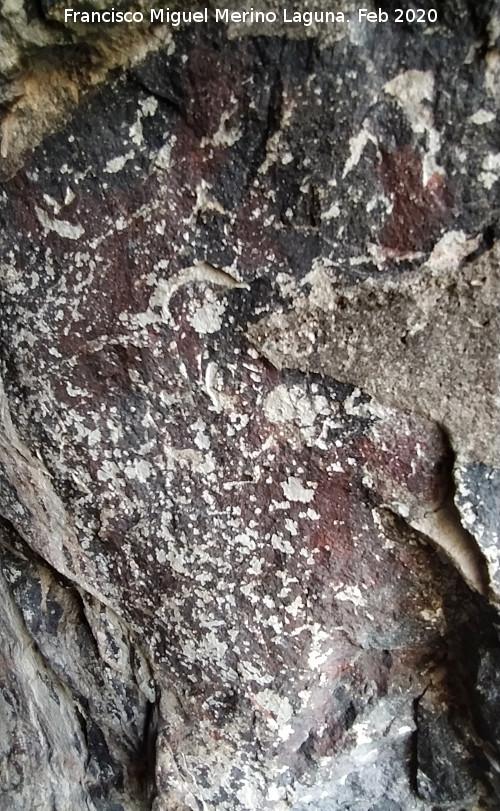 Pinturas rupestres de la Pe�a del Gorri�n V - Pinturas rupestres de la Pe�a del Gorri�n V. Figura principal