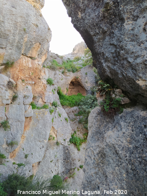 Pinturas rupestres de la Pe�a del Gorri�n IV - Pinturas rupestres de la Pe�a del Gorri�n IV. Cueva