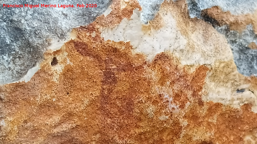 Pinturas rupestres de la Pe�a del Gorri�n III - Pinturas rupestres de la Pe�a del Gorri�n III. Zoomorfo