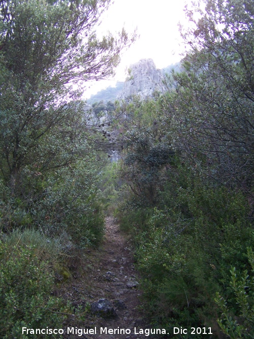 Camino de Herradura de La Nava - Camino de Herradura de La Nava. 