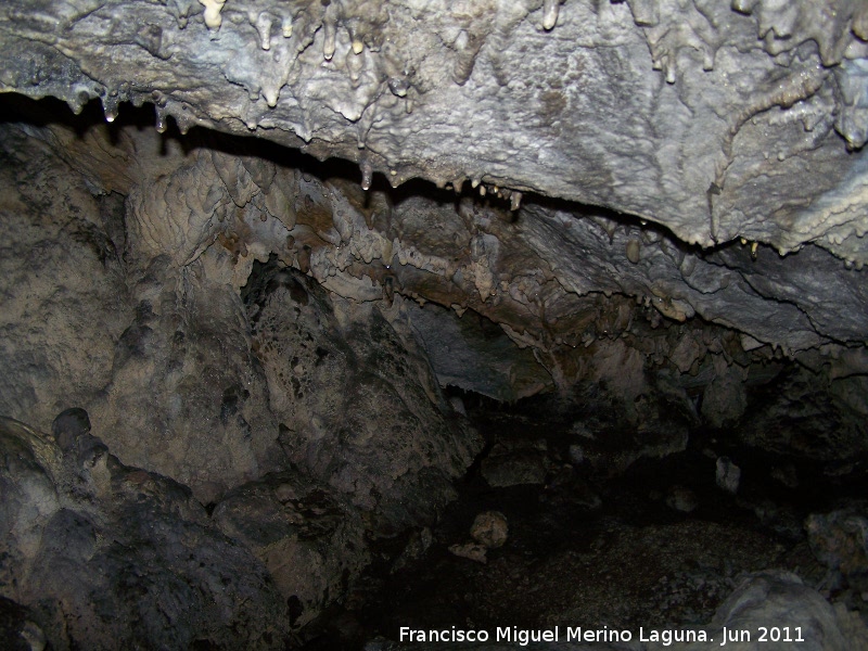 Cueva de La Hoya - Cueva de La Hoya. 