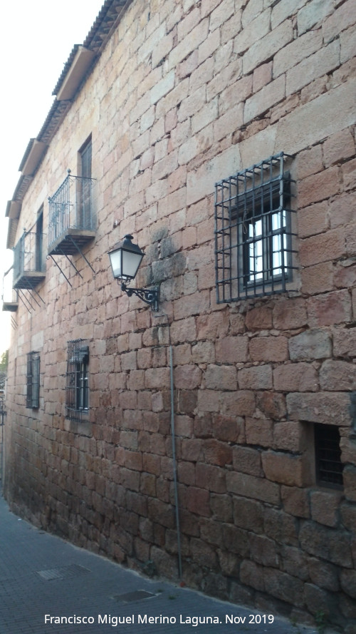 Palacio de los Guzmanes - Palacio de los Guzmanes. Lateral de la muralla