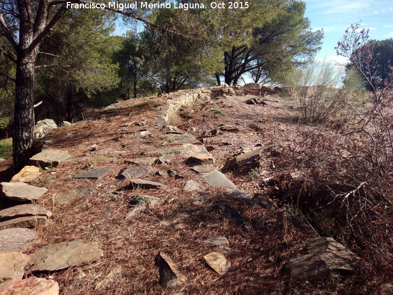 Fortín de Migaldías - Fortín de Migaldías. Muralla