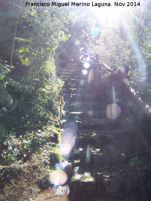 Valparaíso - Valparaíso. Escaleras