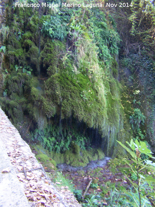Valparaíso - Valparaíso. Cascada