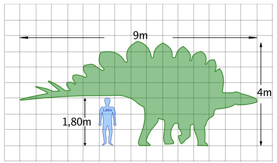 Estegosaurio - Estegosaurio. Comparación con el hombre. Wikipedia