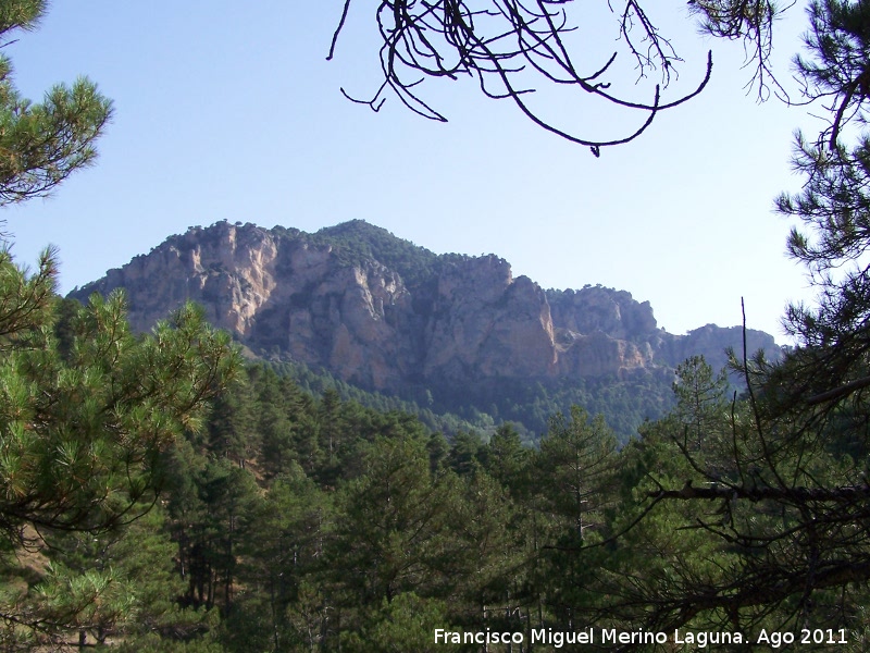 Paredes rocosas del Calar de Peña Rubia - Paredes rocosas del Calar de Peña Rubia. 