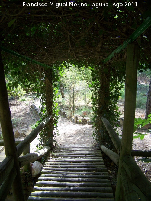 Jardín Botánico Peña del Olivar - Jardín Botánico Peña del Olivar. 