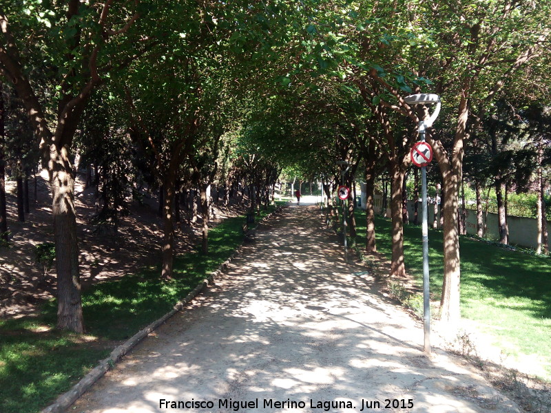 Parque Jardín Botánico - Parque Jardín Botánico. 