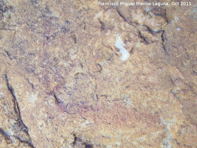 Pinturas rupestres de la Cara de la Pea - Pinturas rupestres de la Cara de la Pea. Cabra de largos cuernos