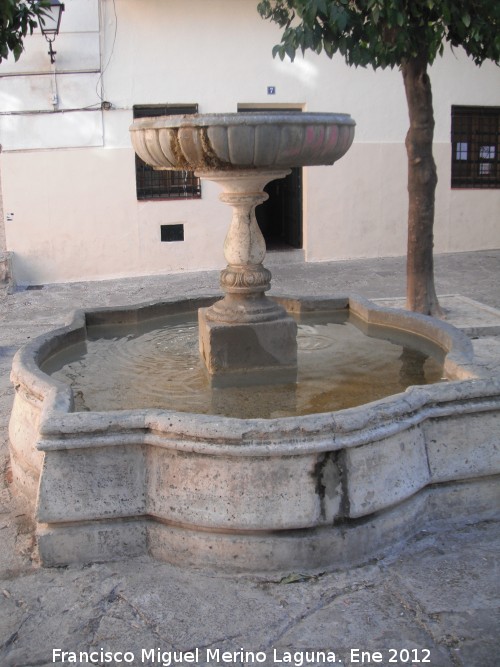 Fuente Baja de San Bartolomé - Fuente Baja de San Bartolomé. 