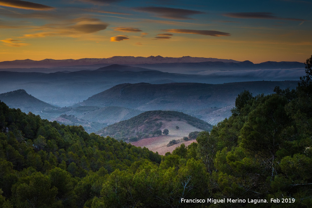 Alba - Alba. M�gina - Huelma