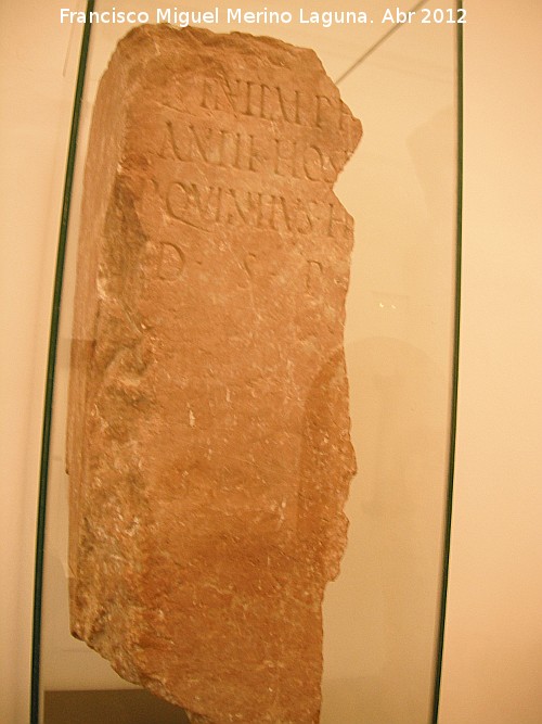 Historia de Antequera - Historia de Antequera. Inscripción romana. Museo Municipal