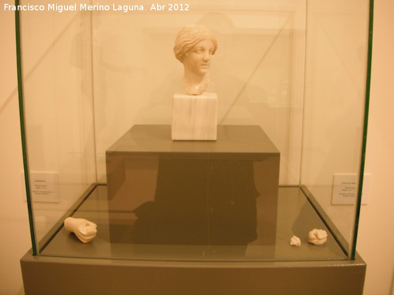 Villa romana de la Estacin - Villa romana de la Estacin. Venus de Anticaria. Siglos I - II d.C. Museo Municipal