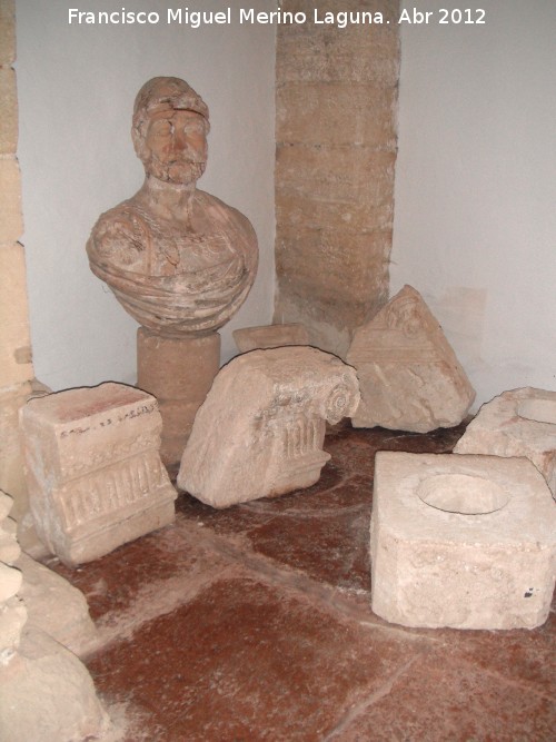 Colegiata Santa María la Mayor - Colegiata Santa María la Mayor. Piezas arqueológicas
