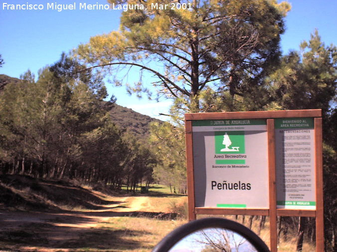 Área recreativa de las Peñuelas - Área recreativa de las Peñuelas. 