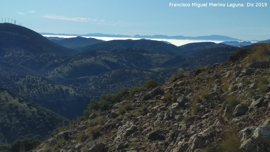 Niebla - Niebla. Mar de nubes. Desde el Cerro Los Morales - Valdepe�as de Ja�n
