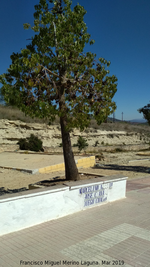 Paseo Virgen de la Consolación - Paseo Virgen de la Consolación. 