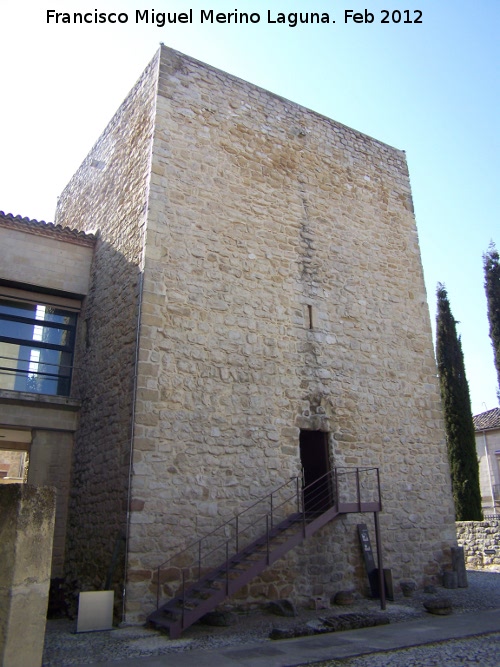 Castillo de Pallarés - Castillo de Pallarés. Torre del Homenaje