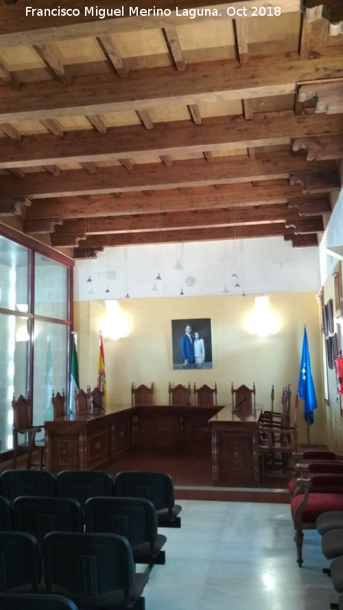 Palacio Ducal de Medinaceli - Palacio Ducal de Medinaceli. Salón de plenos