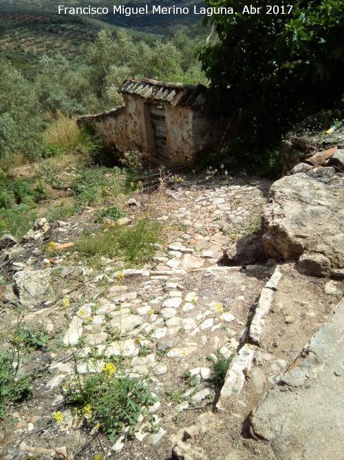 Cortijo de Manuel García Lázaro - Cortijo de Manuel García Lázaro. Corral