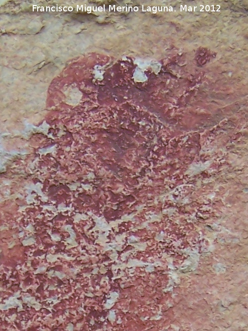 Pinturas rupestres de la Peña de los Buitres I - Pinturas rupestres de la Peña de los Buitres I. Detalle