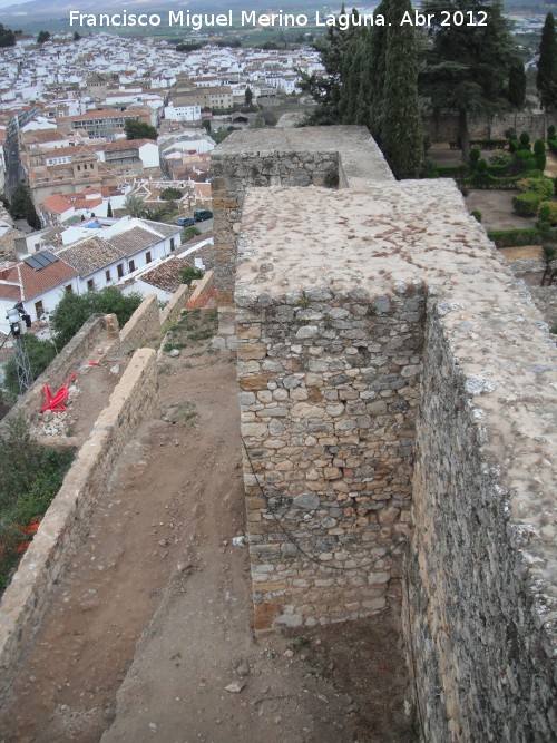 Alcazaba. Torreón XXI - Alcazaba. Torreón XXI. 