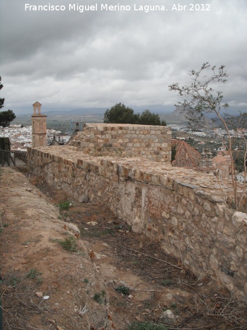 Alcazaba. Torreón VIII - Alcazaba. Torreón VIII. 