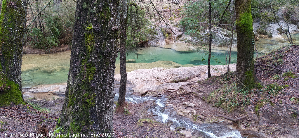 R�o Guadalquivir - R�o Guadalquivir. Desembocadura del Arroyo Maillar