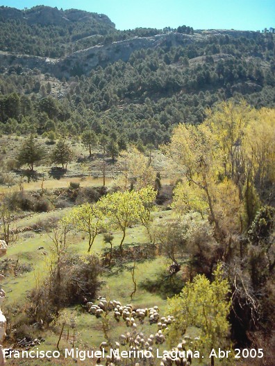 Monasterio de Montesión - Monasterio de Montesión. Vista desde el monasterio