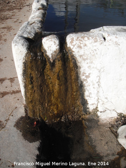 Pilar de la Tripa - Pilar de la Tripa. Desagüe