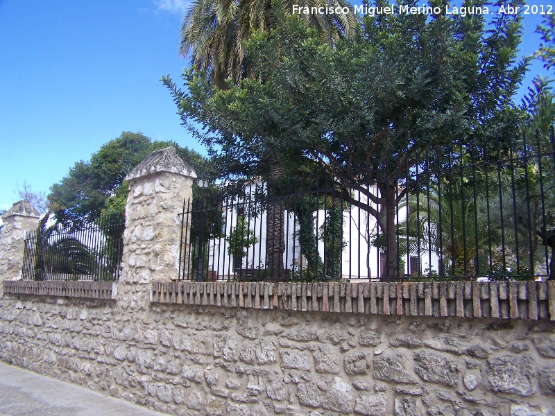 Casa de las Niñas - Casa de las Niñas. Patios