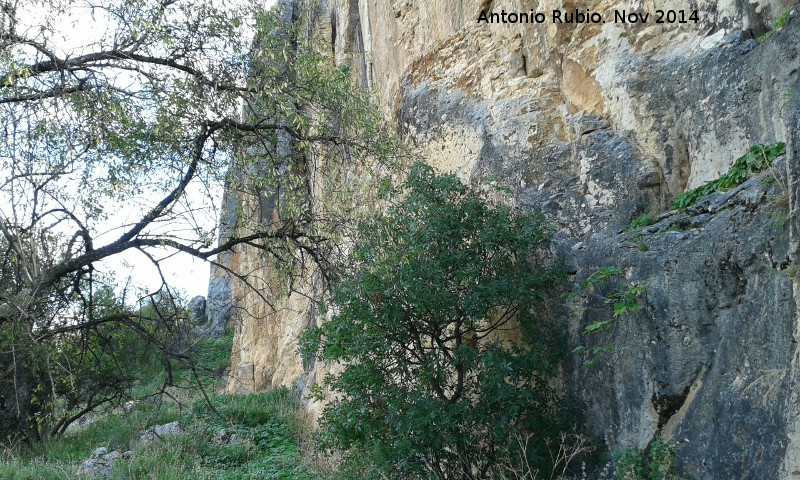 Peña Grajera - Peña Grajera. 