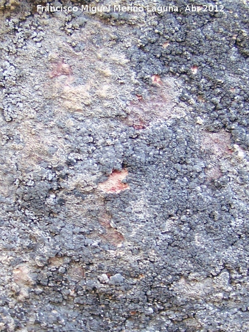 Pinturas rupestres del Abrigo de la Peña Grajera Grupo III - Pinturas rupestres del Abrigo de la Peña Grajera Grupo III. Restos de pinturas rupestres tapados por una capa de calcita